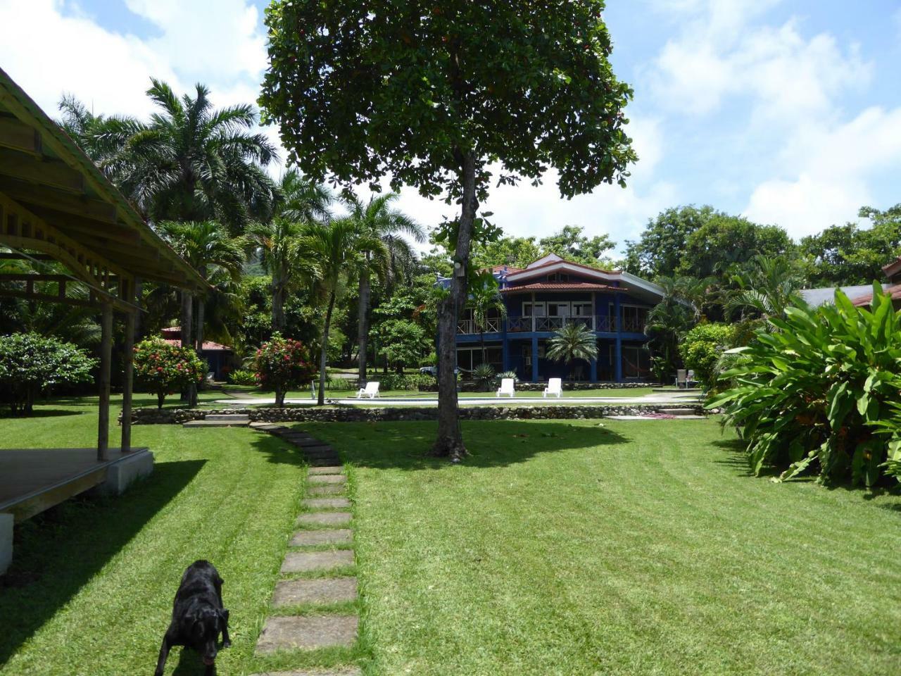 Hotel Casa Azul Playa Santa Teresa  Zewnętrze zdjęcie